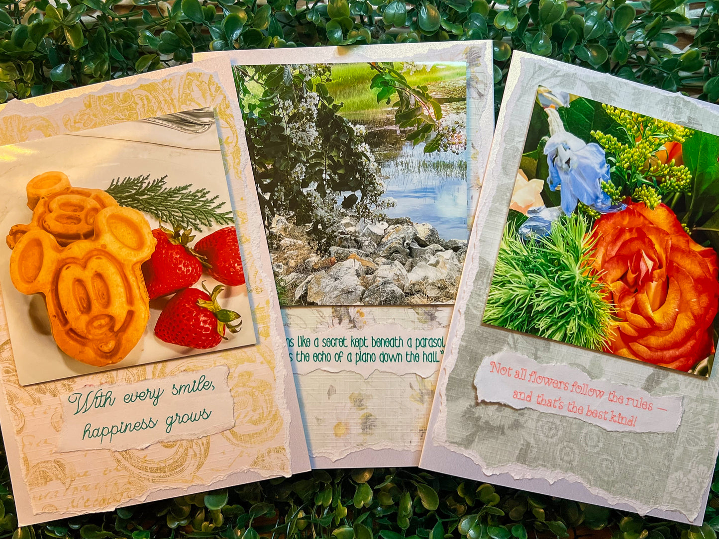 Carousel Dreams Collection– Includes Exclusive Carousel Horse Card