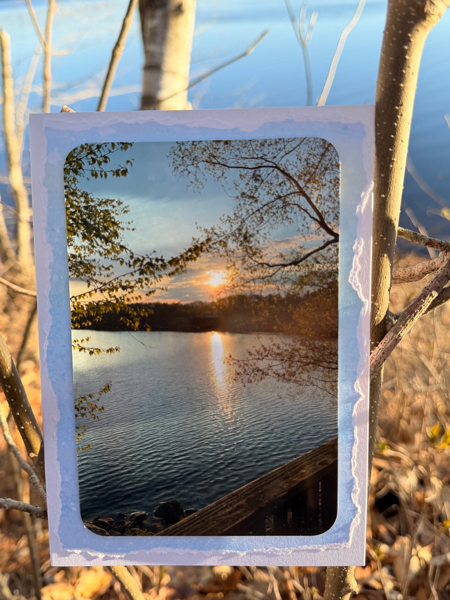 First Light Greeting Card