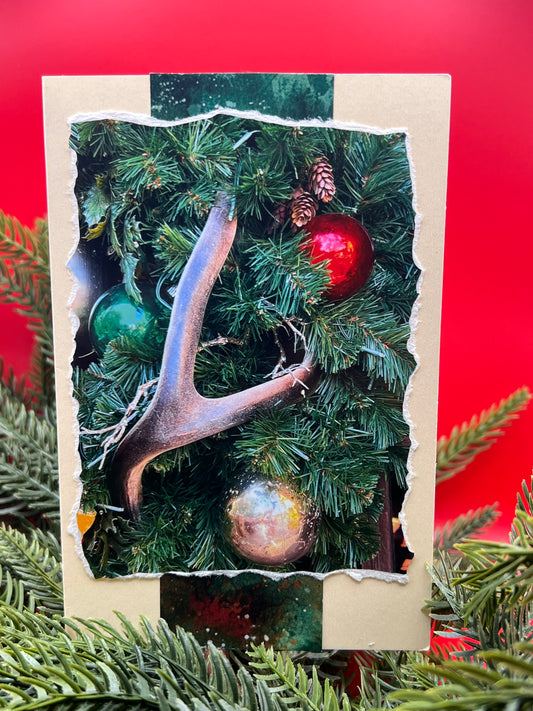 🦌 Antler Evergreen Christmas Card