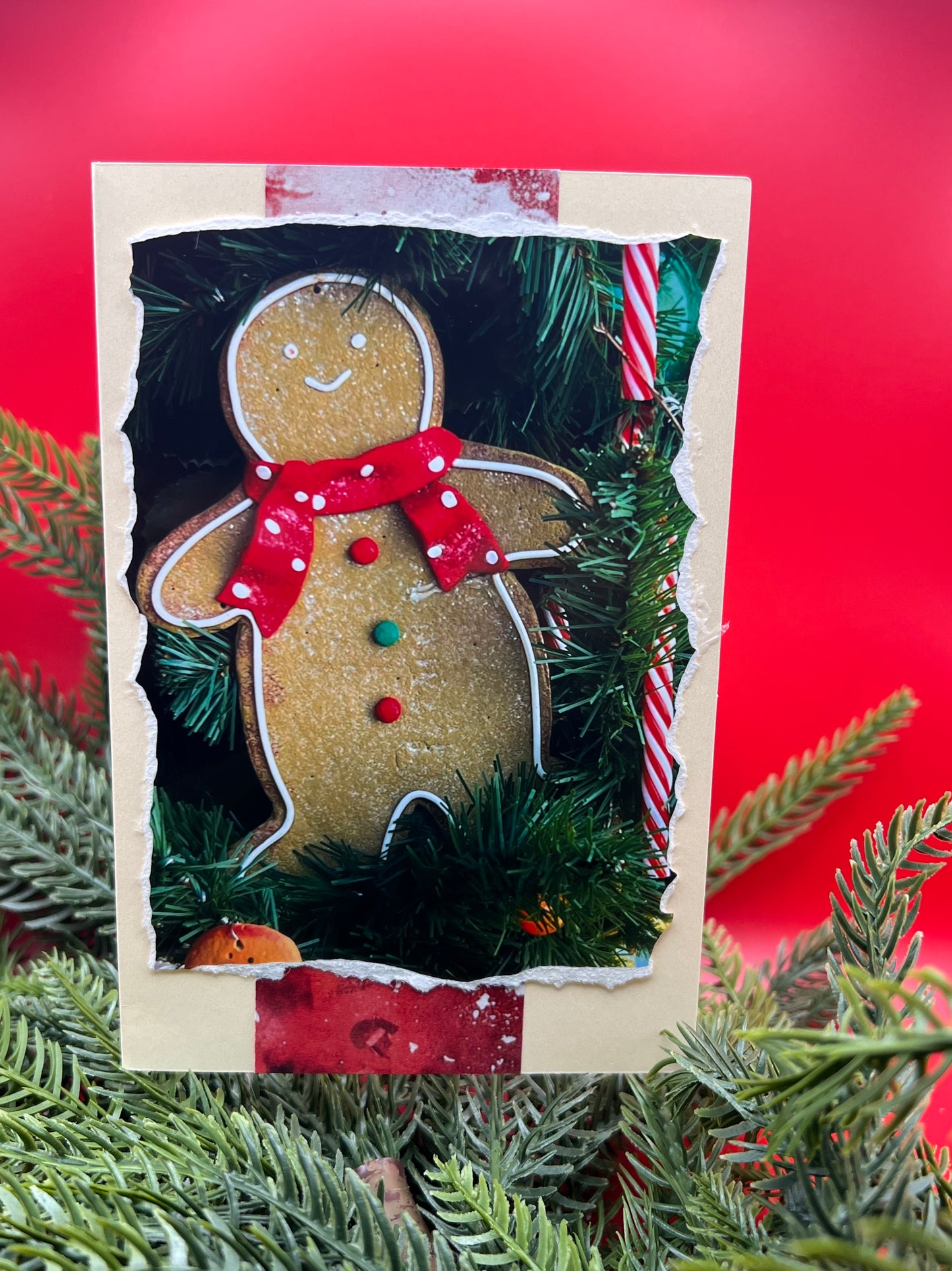 🍪 Gingerbread + Evergreen Christmas Card